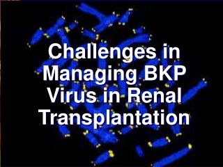 Challenges in Managing BKP Virus in Renal Transplantation