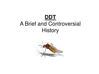 DDT A Brief and Controversial History