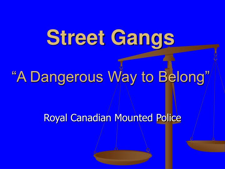 street gangs a dangerous way to belong