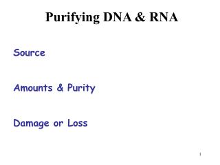 Purifying DNA &amp; RNA Source Amounts &amp; Purity Damage or Loss