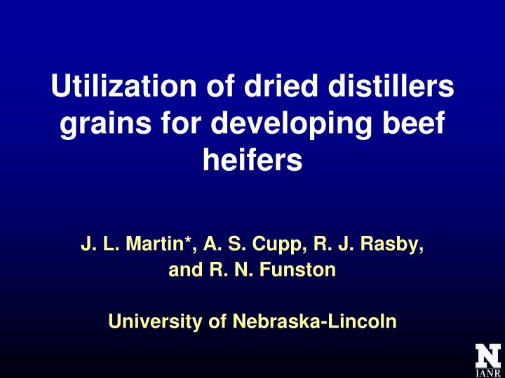 utilization of dried distillers grains for developing beef heifers