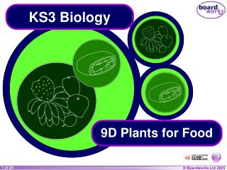 KS3 Biology