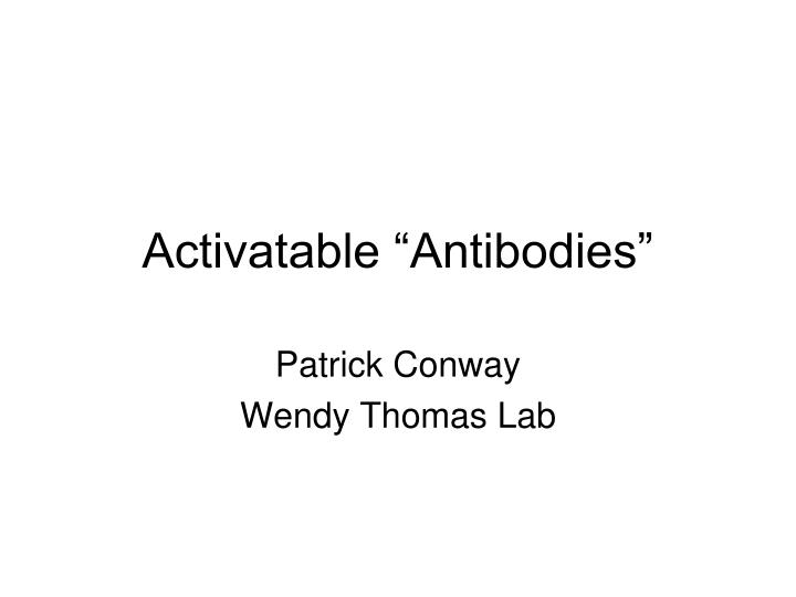 activatable antibodies