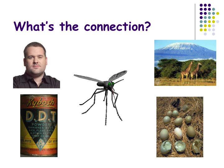 what s the connection