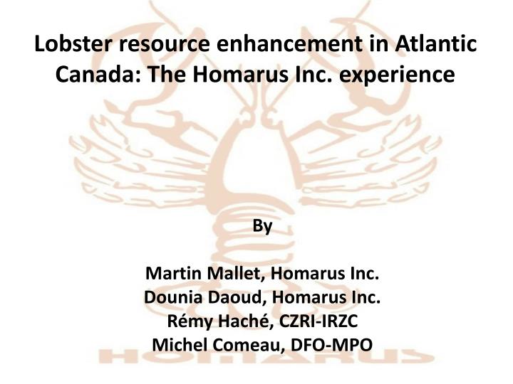 lobster resource enhancement in atlantic canada the homarus inc experience