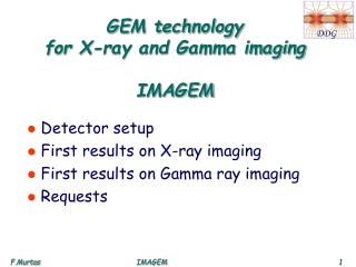 GEM technology for X-ray and Gamma imaging IMAGEM