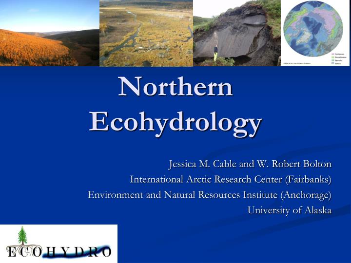 northern ecohydrology