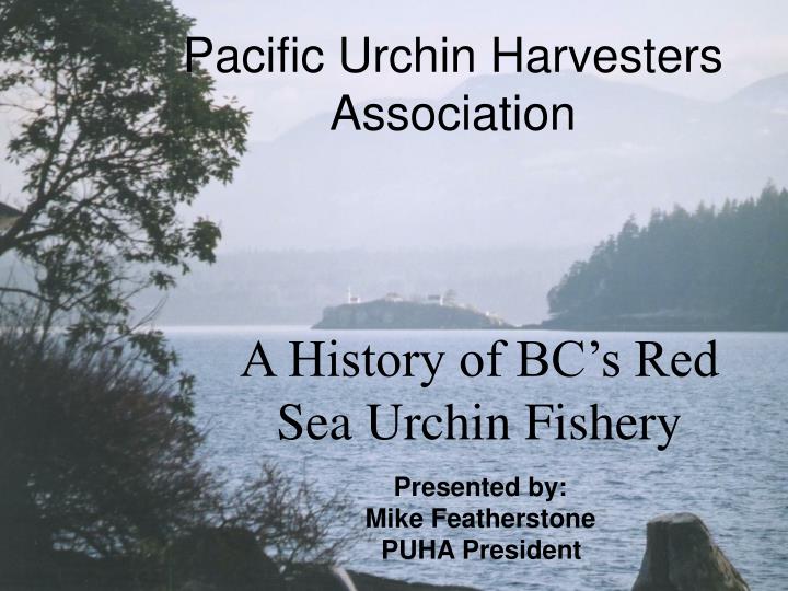 pacific urchin harvesters association