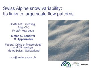 Swiss Alpine snow variability: Its links to large scale flow patterns