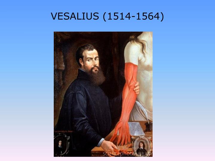 vesalius 1514 1564