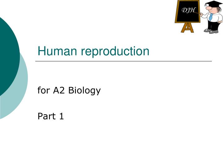 Ppt Human Reproduction Powerpoint Presentation Free Download Id3284091 