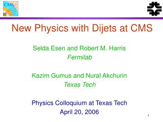 New Physics with Dijets at CMS