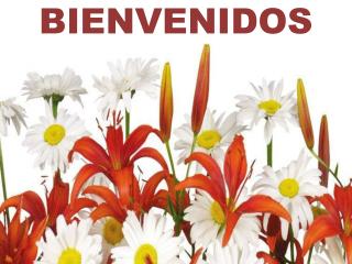 bienvenidos