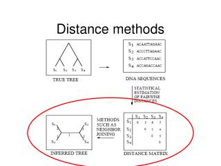 Distance methods