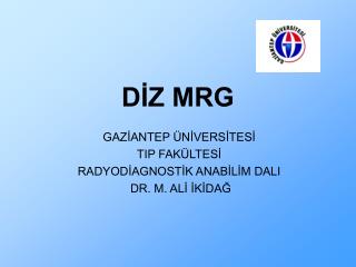 d z mrg