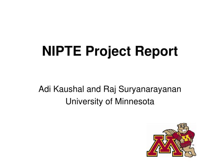 nipte project report
