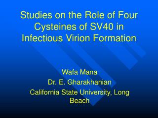 Studies on the Role of Four Cysteines of SV40 in Infectious Virion Formation