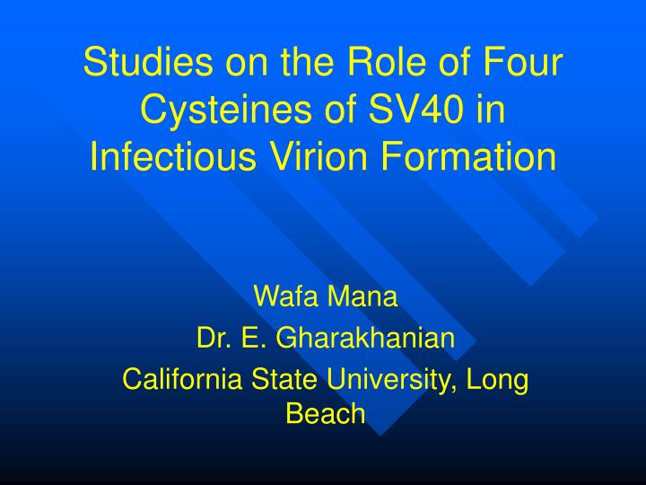 studies on the role of four cysteines of sv40 in infectious virion formation