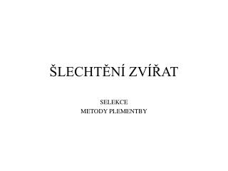 lecht n zv at
