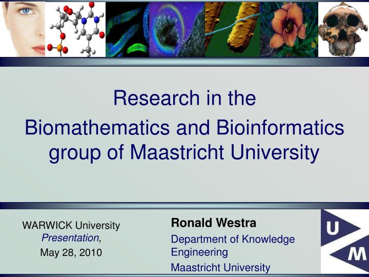 research in the biomathematics and bioinformatics group of maastricht university