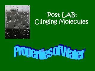 Post LAB: Clinging Molecules