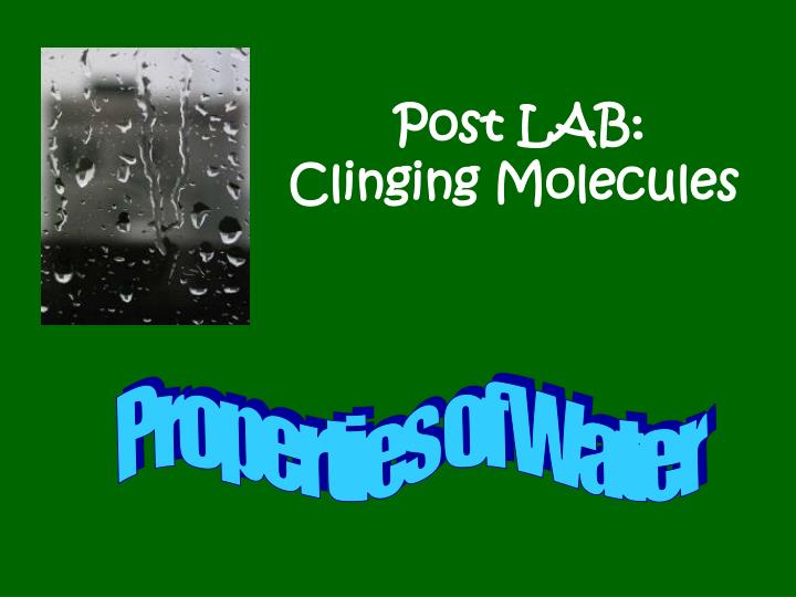 post lab clinging molecules