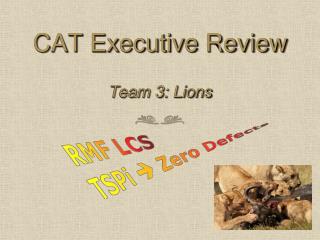 CAT Executive Review