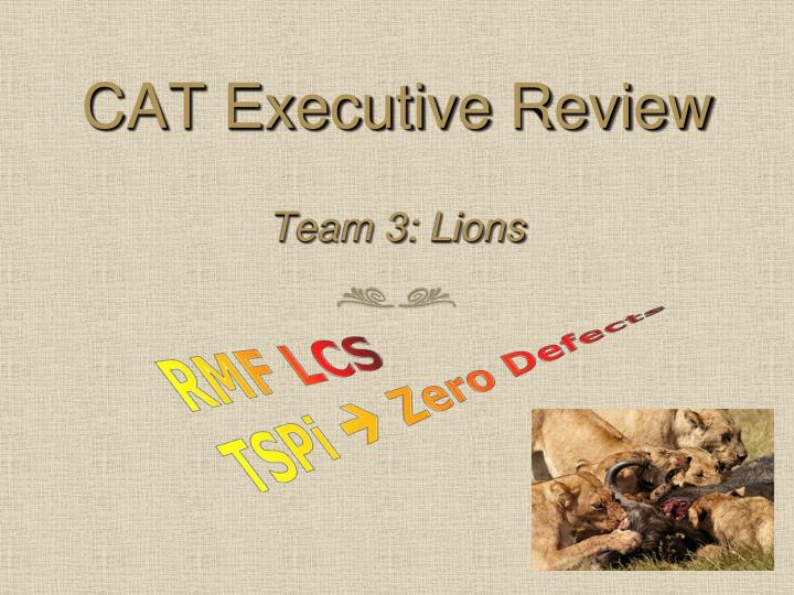 cat executive review
