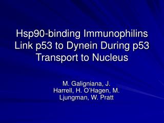 Hsp90-binding Immunophilins Link p53 to Dynein During p53 Transport to Nucleus