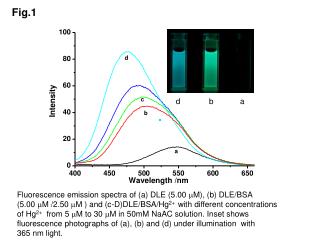 Fluorescence emission spectra of (a) DLE (5.00 ?M ), (b) DLE/BSA