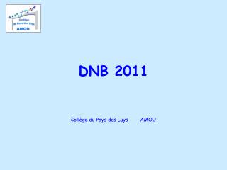 dnb 2011