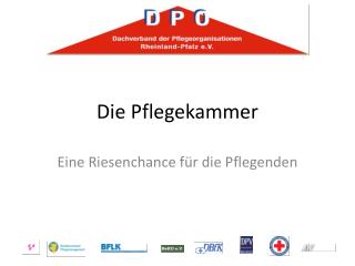 die pflegekammer