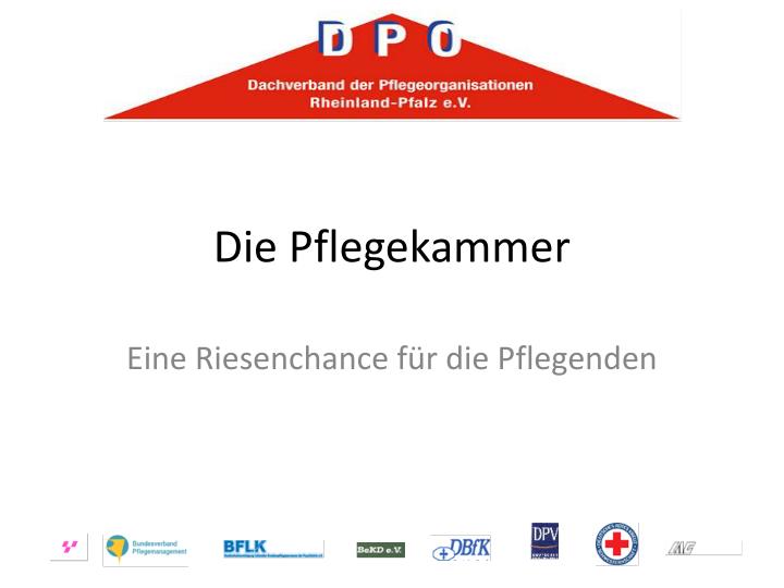 die pflegekammer