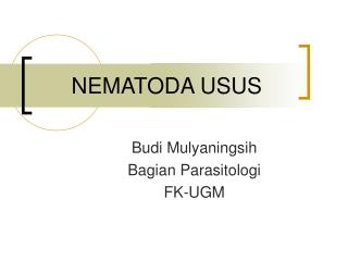 nematoda usus