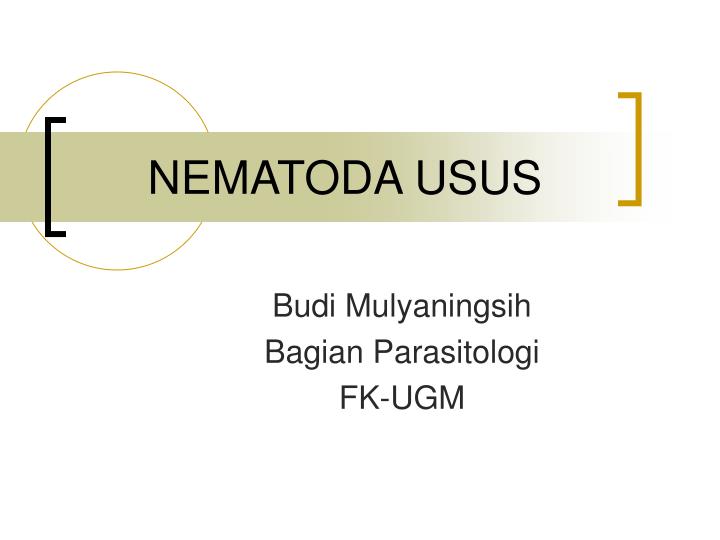 nematoda usus