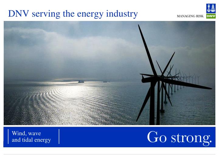 dnv serving the energy industry