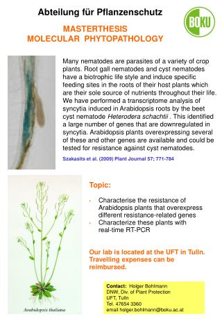 Arabidopsis thaliana