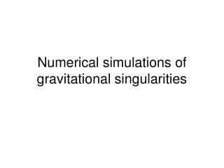 Numerical simulations of gravitational singularities