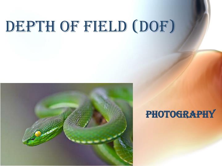 depth of field dof