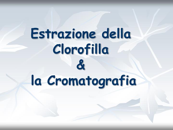 estrazione della clorofilla la cromatografia