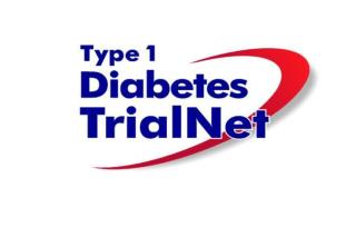 Natural History of Type 1 Diabetes