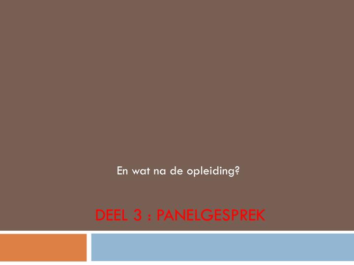 deel 3 panelgesprek