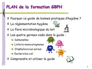 plan de la formation gbph