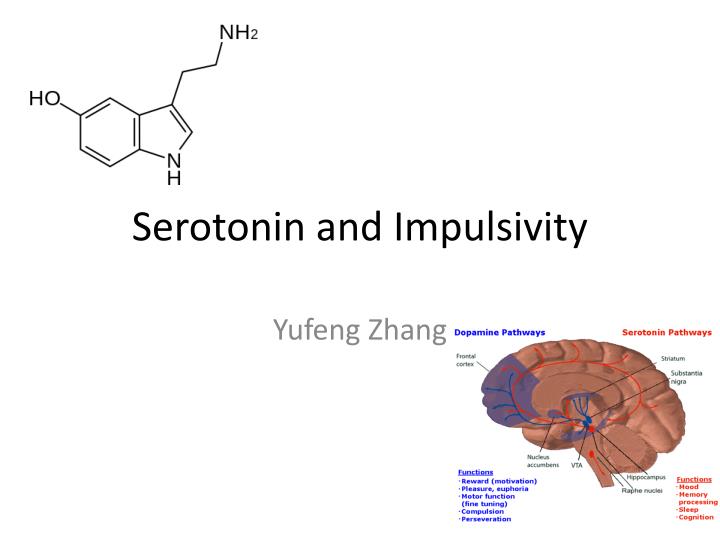 serotonin and impulsivity