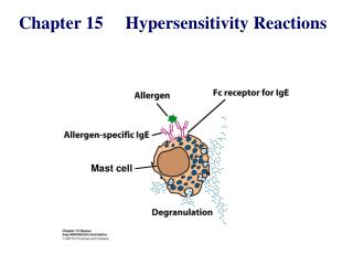 Chapter 15 Hypersensitivity Reactions