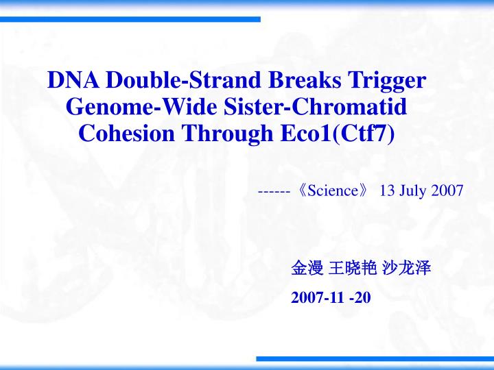 dna double strand breaks trigger genome wide sister chromatid cohesion through eco1 ctf7