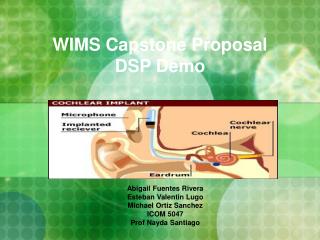 WIMS Capstone Proposal DSP Demo