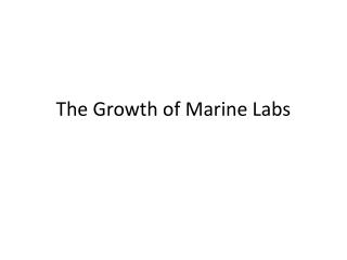 The Growth of Marine Labs