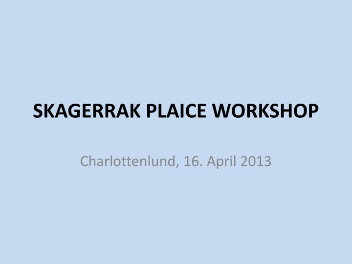 skagerrak plaice workshop