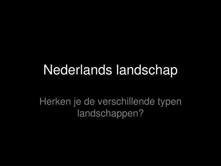 nederlands landschap